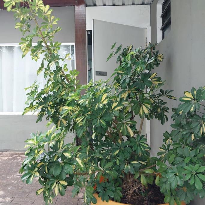 Casa A 1,4 Km Do Autodromo De Interlagos Percurso A Pe Casa de férias *